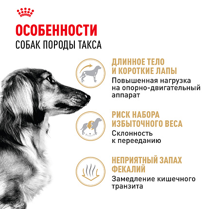 Royal Canin Dachshund Adult Корм сухой для взрослых собак породы Такса от 10 месяцев, 7,5 кг